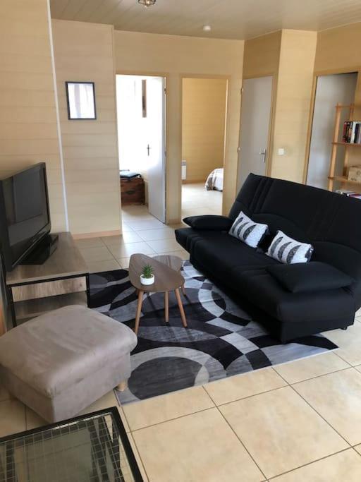 Charmant T3 Calme Et Accueillant Pollestres Exterior foto
